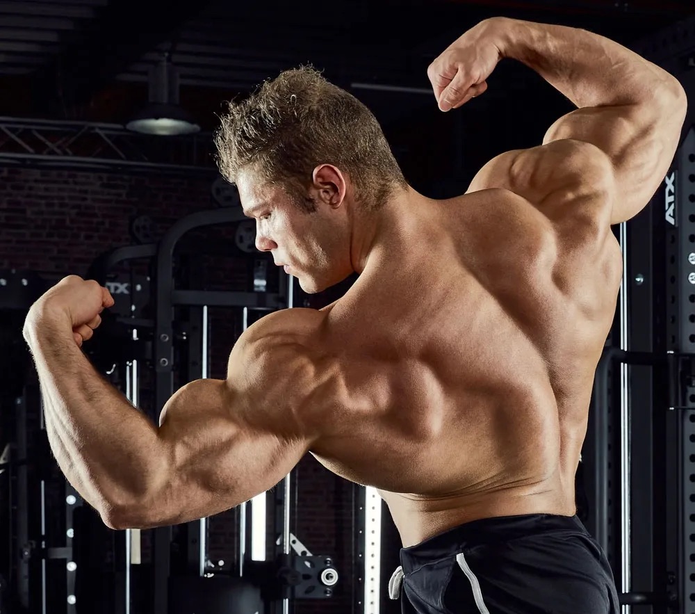 German Engineering Success